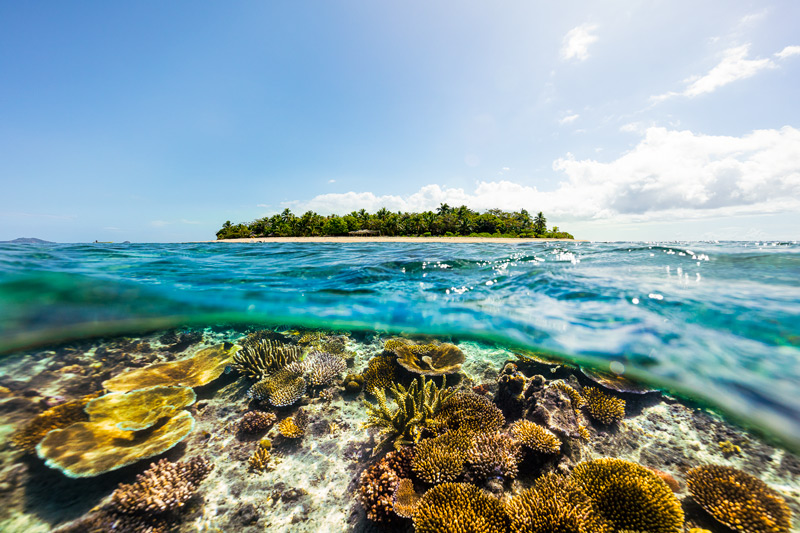 Snorkel Navini Islands Thriving Marine Reef Sanctuary